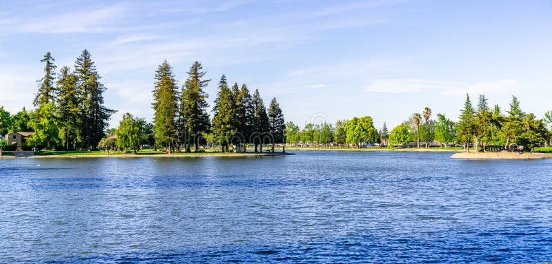 Grandes árvores da sequoia vermelha na linha costeira de lago Ellis, Marysville, Yuba County, Califórnia imagem de stock Grandes árvores da sequoia vermelha na linha costeira de lago Ellis, Marysville, Yuba County, Califórnia imagem de stock