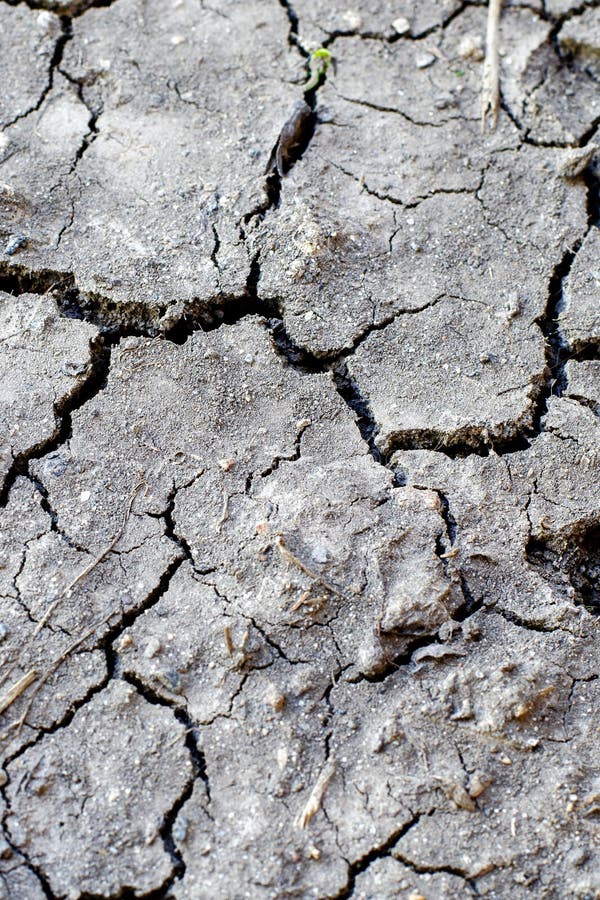 Grandi crepe nel terreno grigio Terreni senza irrigazione fotografia stock Grandi crepe nel terreno grigio Terreni senza irrigazione fotografia stock