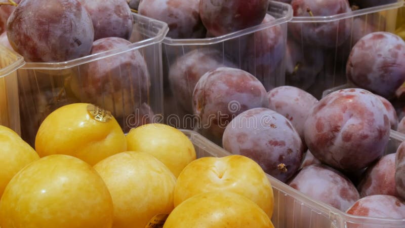 Grandi le prugne blu e gialle si trovano sul contatore in un mercato di frutta