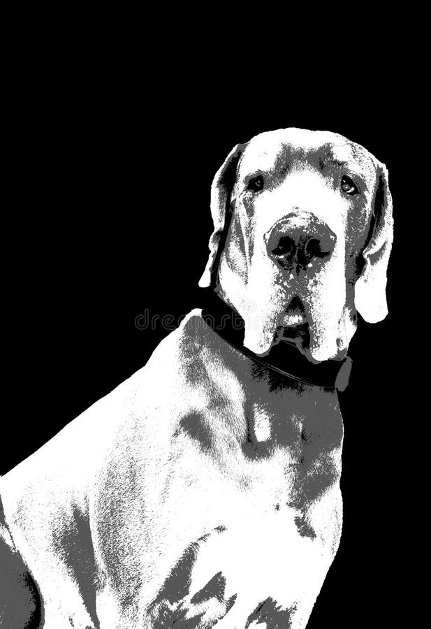 Grands Dane Artistic Black White et Grey Vector illustration stock Grands Dane Artistic Black White et Grey Vector illustration stock