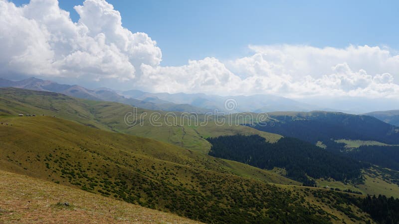 Grands nuages blancs sur des collines vertes et des montagnes. l'herbe jaune couvre les montagnes de grands conifères verts dans la gorge. les buissons bas poussent. une brume légère flotte au sol. assy kazakhstan