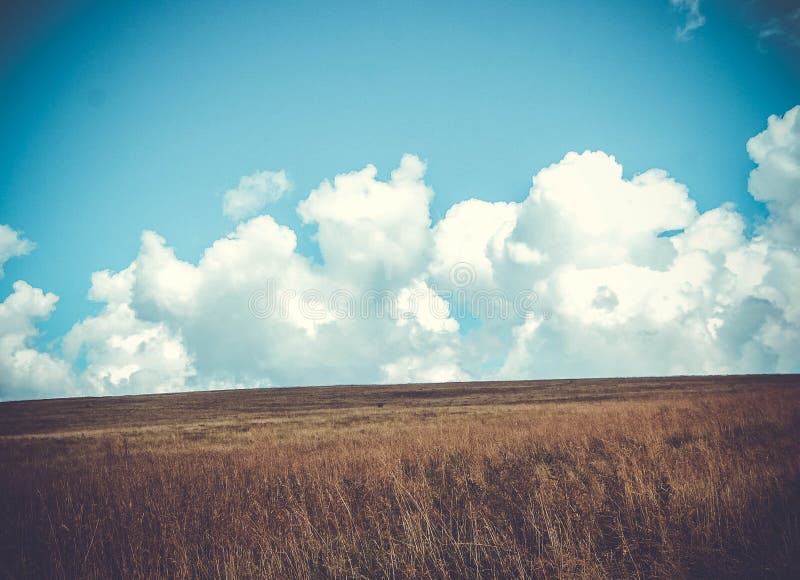 Grands nuages et champ photo libre de droits Grands nuages et champ photo libre de droits