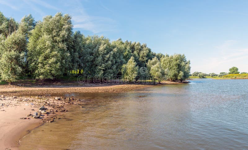 Download Grands Saules Sur La Banque D'un Lac Photo stock - Image du personne, idyllique: 76078112
