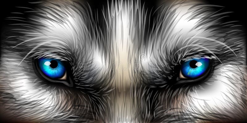 Grands yeux Les yeux bleus brillants de Sibérie Husky s'approchent illustration libre de droits