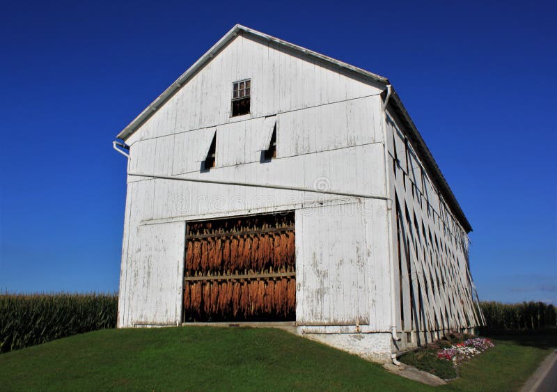 Grange amish de maïs en Pennsylvanie image stock Grange amish de maïs en Pennsylvanie image stock