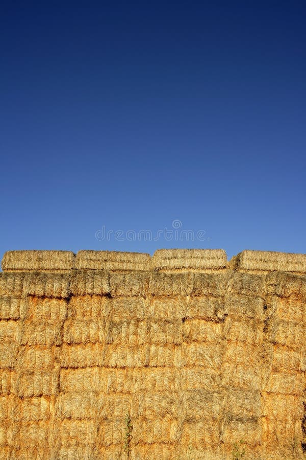 Grange Avec La Pile De Bois De Chauffage Avec La Pile Des Rondins