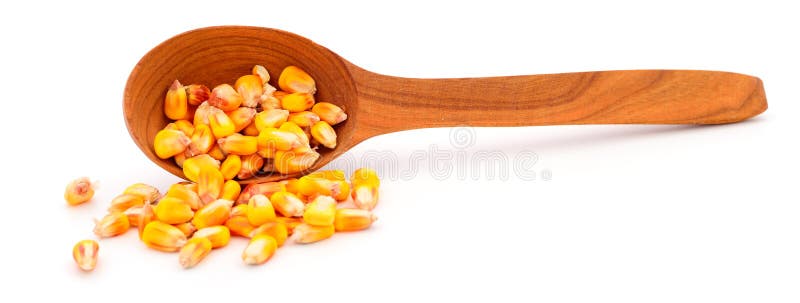 Grani di mais in scoop di legno illustrazione di stock Grani di mais in scoop di legno illustrazione di stock