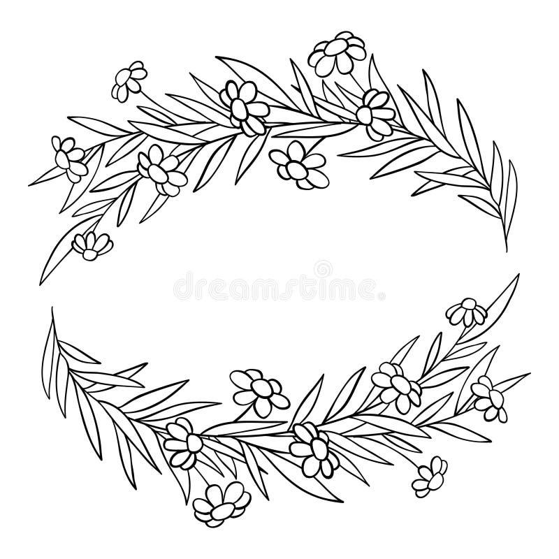 Granice kwiatowe i dzielniki. eleganckie ozdobne zielone rośliny ramy i monogramowe dzielniki ozdobne na ślub ilustracji