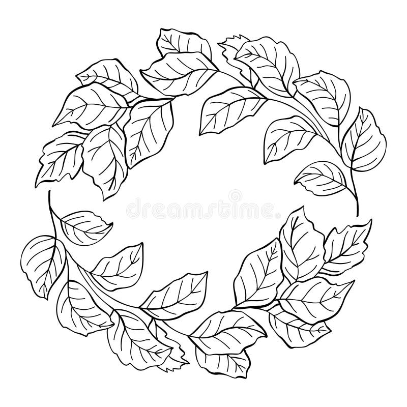Granice kwiatowe i dzielniki. eleganckie ozdobne zielone rośliny ramy i monogramowe dzielniki ozdobne na ślub ilustracji