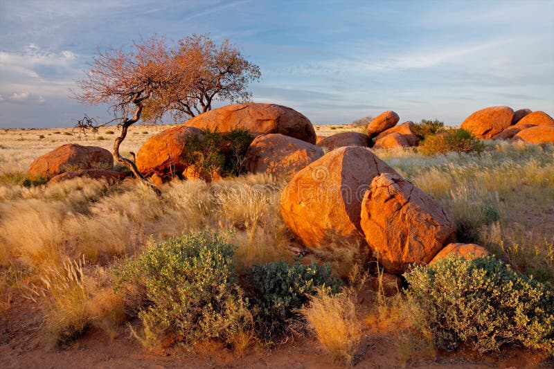 Granite boulders and trees stock photos