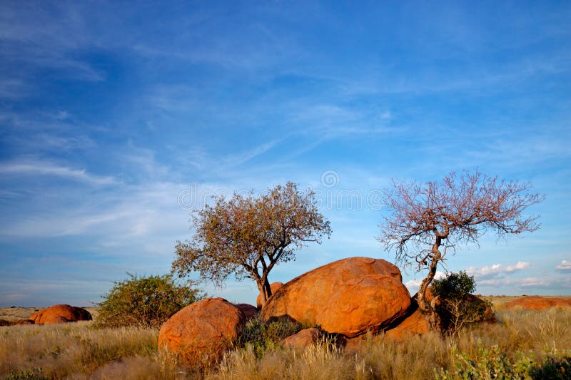 Granite boulders and trees, Namibia stock images