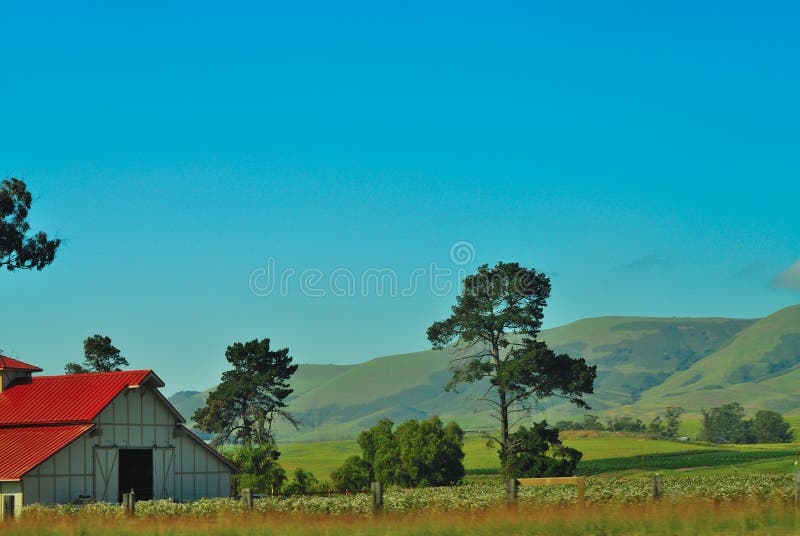 Granja de California imagen de archivo. Imagen de producto 24120519