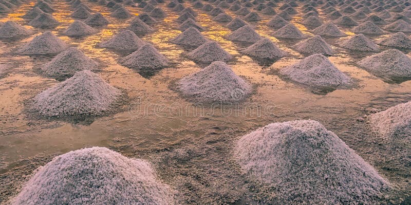 Granja de la sal del mar en Tailandia Sal org?nica del mar r : fotografía de archivo Granja de la sal del mar en Tailandia Sal org?nica del mar r : fotografía de archivo
