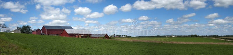 Scenic panoramic of old red barn and farm scene out in dairy country of Wisconsin, USA. Soybeans are growing in the foreground and in the distance is hay and field corn, all to be used as silage for dairy cows and cattle. The clouds, sky, and color create a unique panorama banner scene of agriculture, farming, and farmland. Scenic panoramic of old red barn and farm scene out in dairy country of Wisconsin, USA. Soybeans are growing in the foreground and in the distance is hay and field corn, all to be used as silage for dairy cows and cattle. The clouds, sky, and color create a unique panorama banner scene of agriculture, farming, and farmland.