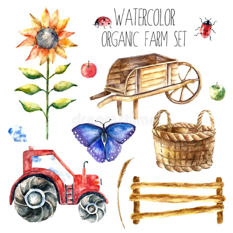 Watercolor organic farm. Hand drawn objects tractor, sunflower, truck, fence, basket, butterfly, ladybug and spica isolated on white background vector. Watercolor organic farm. Hand drawn objects tractor, sunflower, truck, fence, basket, butterfly, ladybug and spica isolated on white background vector