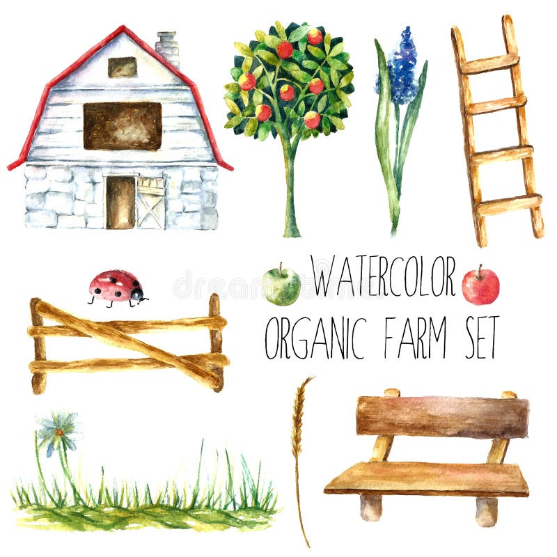 Watercolor organic farm. Hand drawn objects house. tree, flower, stairs, bench, grass, fence, ladybug and spica isolated on white background vector. Watercolor organic farm. Hand drawn objects house. tree, flower, stairs, bench, grass, fence, ladybug and spica isolated on white background vector