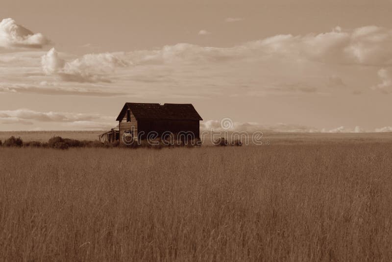 Granja vieja en una pradera fotografía de archivo Granja vieja en una pradera fotografía de archivo