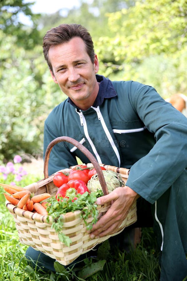 Granjero del hombre que recoge verduras frescas fotografía de archivo Granjero del hombre que recoge verduras frescas fotografía de archivo