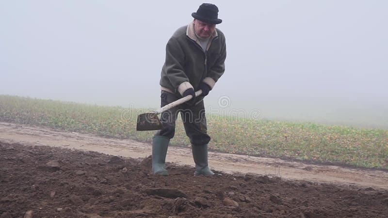 Granjero mayor con el sombrero que sostiene una azada y un bieldo fangosos en el campo Trabajo manual niebla