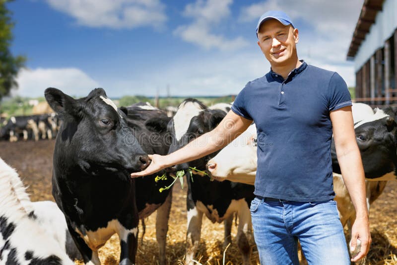 Granjero que trabaja en granja con las vacas lecheras foto de archivo libre de regalías Granjero que trabaja en granja con las vacas lecheras foto de archivo libre de regalías