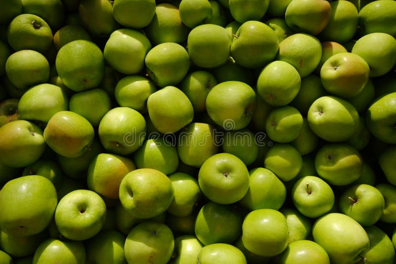 Pile of Granny Smith Apples Stock Photo Image of granny, fresh 26863918