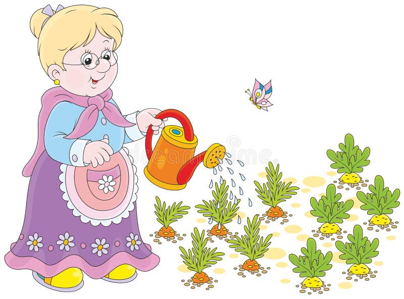 Download Granny watering vegetables stock vector. Illustration of ...