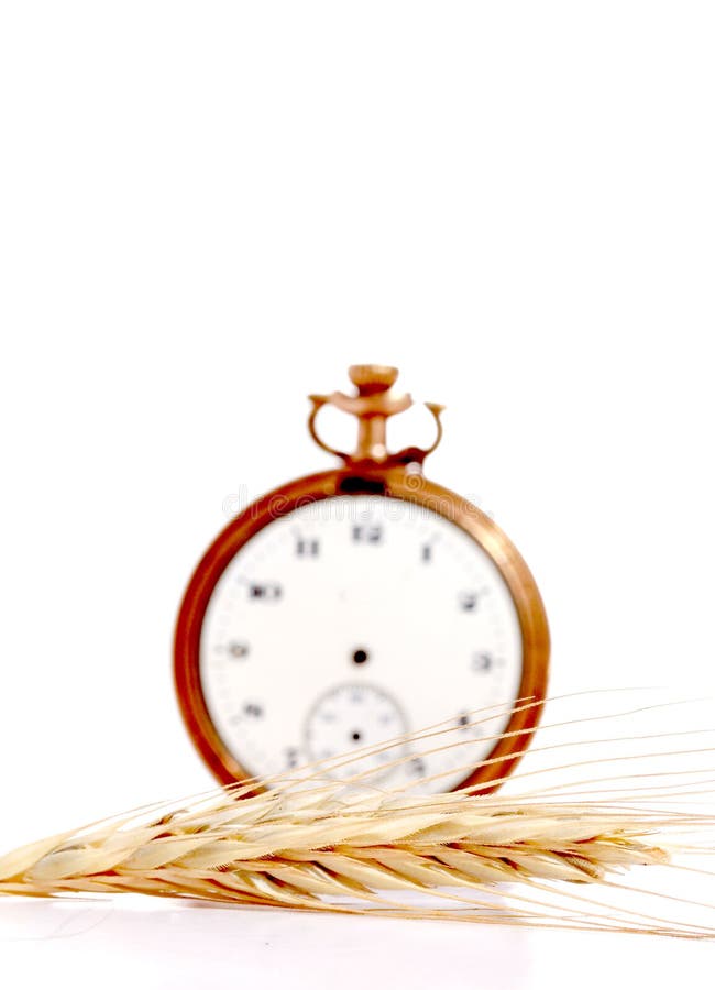 Grano davanti all'orologio d'annata della tasca Cronometri il concetto fotografie stock Grano davanti all'orologio d'annata della tasca Cronometri il concetto fotografie stock