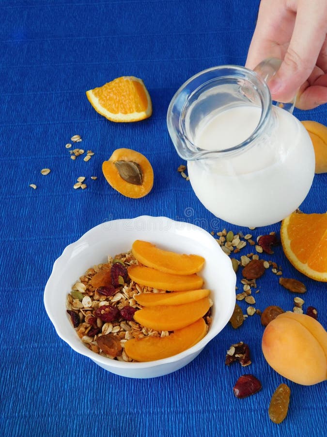 Granola med aprikors och apelsiner fotografering för bildbyråer Granola med aprikors och apelsiner fotografering för bildbyråer