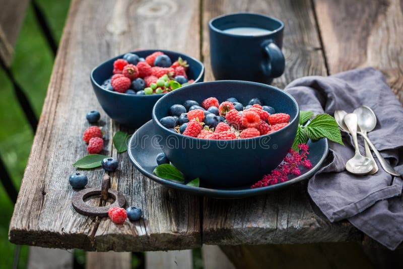 Granola met melk en verse bessen in blauwe kom royalty-vrije stock fotografie Granola met melk en verse bessen in blauwe kom royalty-vrije stock fotografie