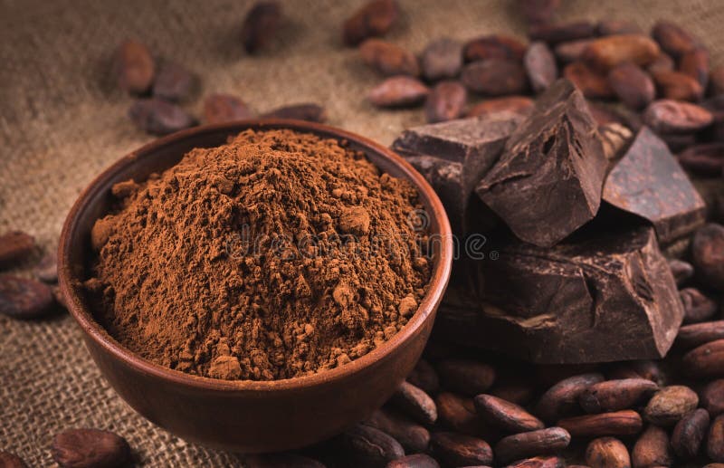 Granos de cacao crudos, cuenco de la arcilla con el polvo de cacao, chocolate en el saco