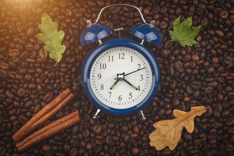 Granos de café, palillos de canela y despertador asados Mujer joven en cama en la mañana Buenos días Humor del otoño Fondo, opini fotos de archivo Granos de café, palillos de canela y despertador asados Mujer joven en cama en la mañana Buenos días Humor del otoño Fondo, opini fotos de archivo
