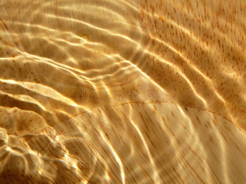 Granulo di legno sotto acqua