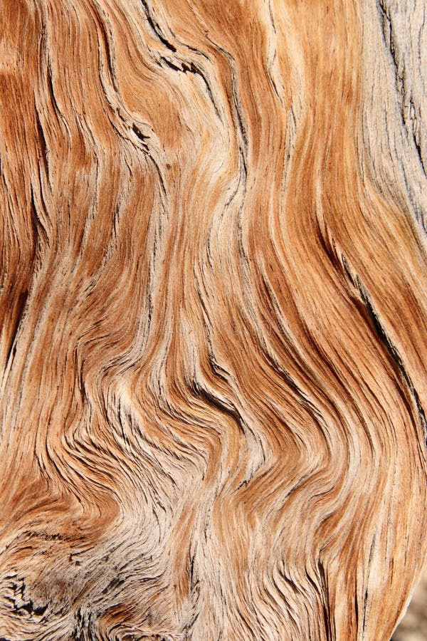 Granulo di legno torto