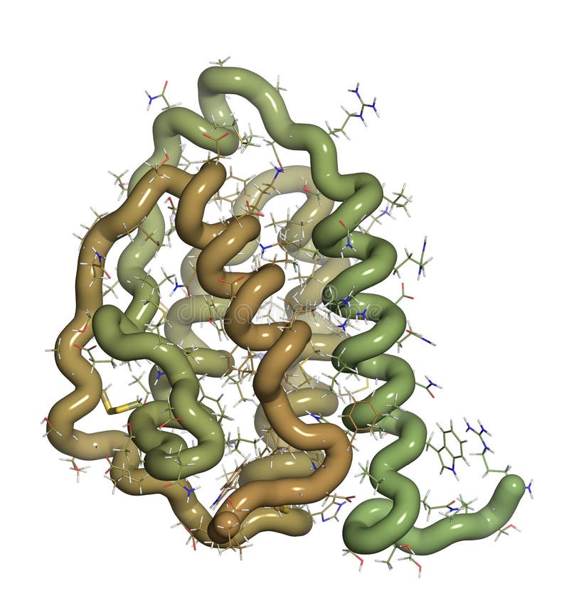 Granulocyte-macrophage colony-stimulating factor (GM-CSF, molgramostim, sargramostim) molecule. White blood cell growth factor