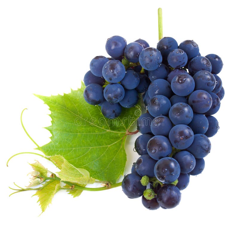 Grape