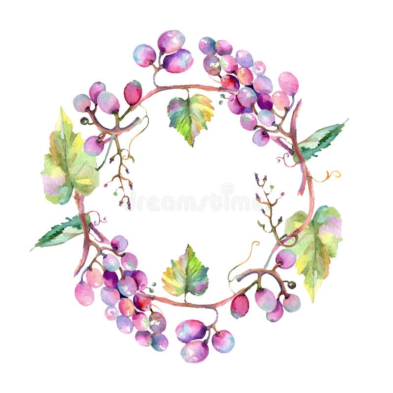 Grape berry healthy food. Watercolor background illustration set. Frame border ornament square.