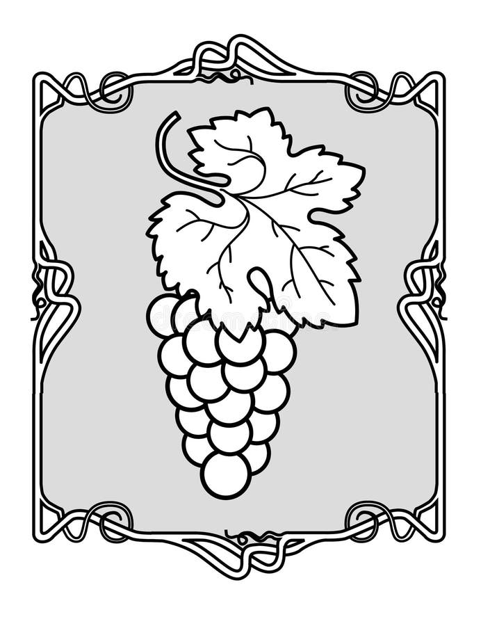 Grape Brunch stock vector. Illustration of plant, fresh - 3411637