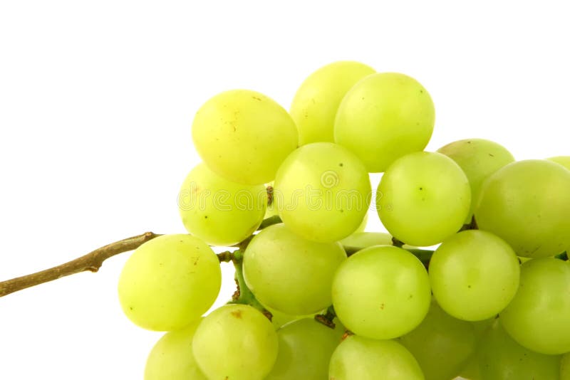 Grape close-up