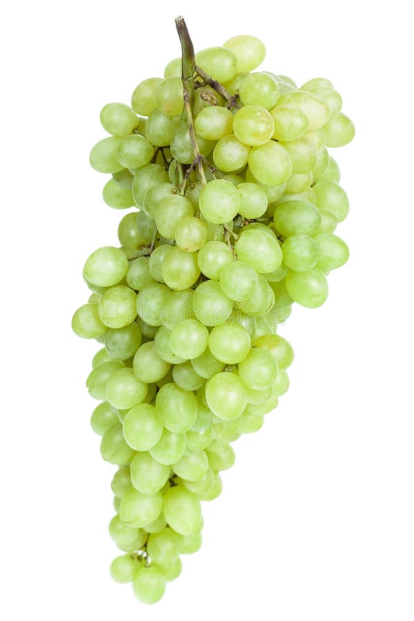 Green grapes stock image. Image of delicious, summer, diet - 2612055