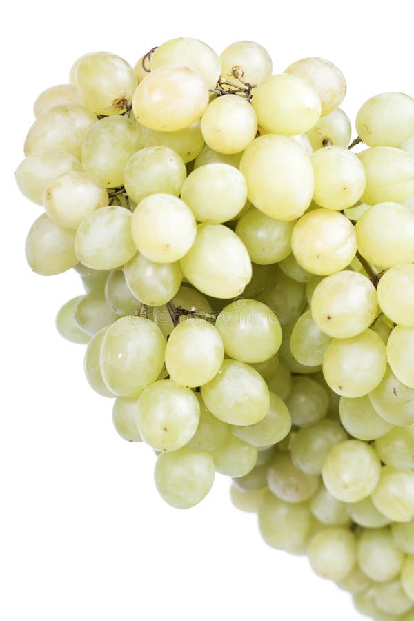 Grape cluster