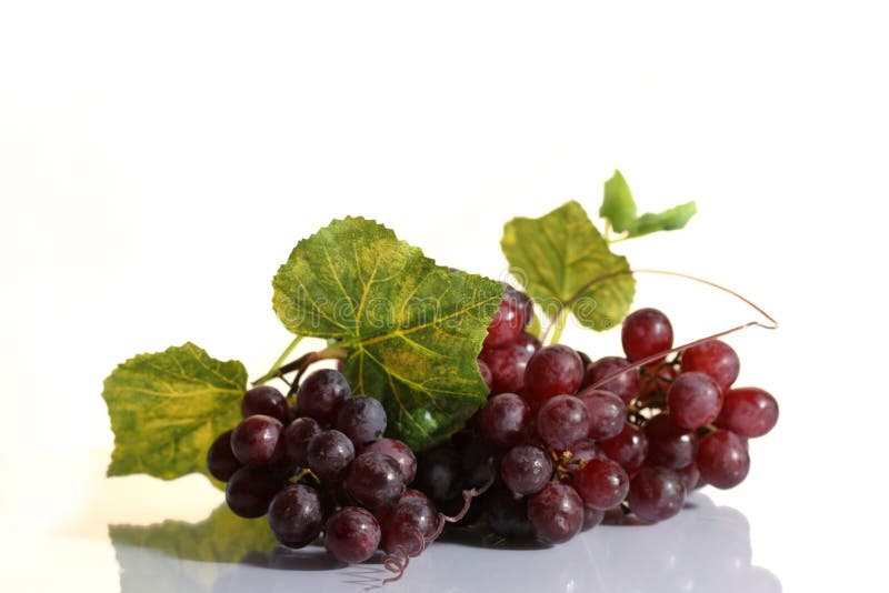 Grape cluster with leaves