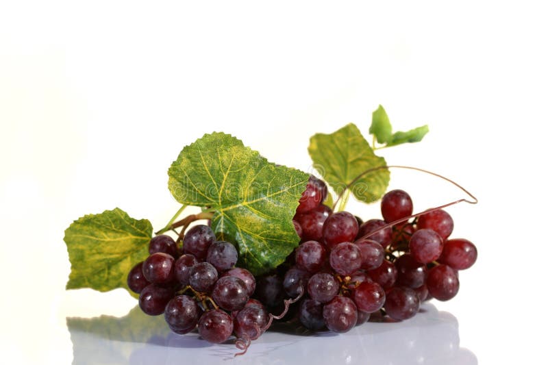 Grape cluster with leaves