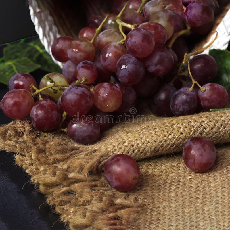 A Grape is a Fruit, Botanically a Berry, Stock Image - Image of dessert ...