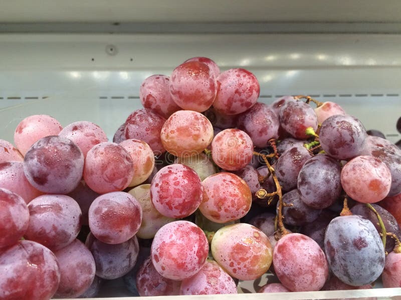 Grape fruits stock photo. Image of sour, vine, basket 79731406