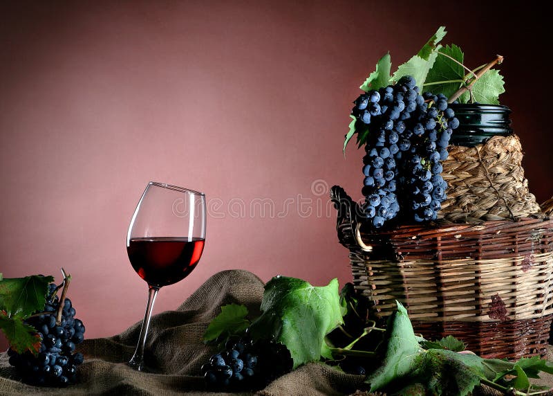 Grapevines in a wineyard stock image. Image of plants 3672671