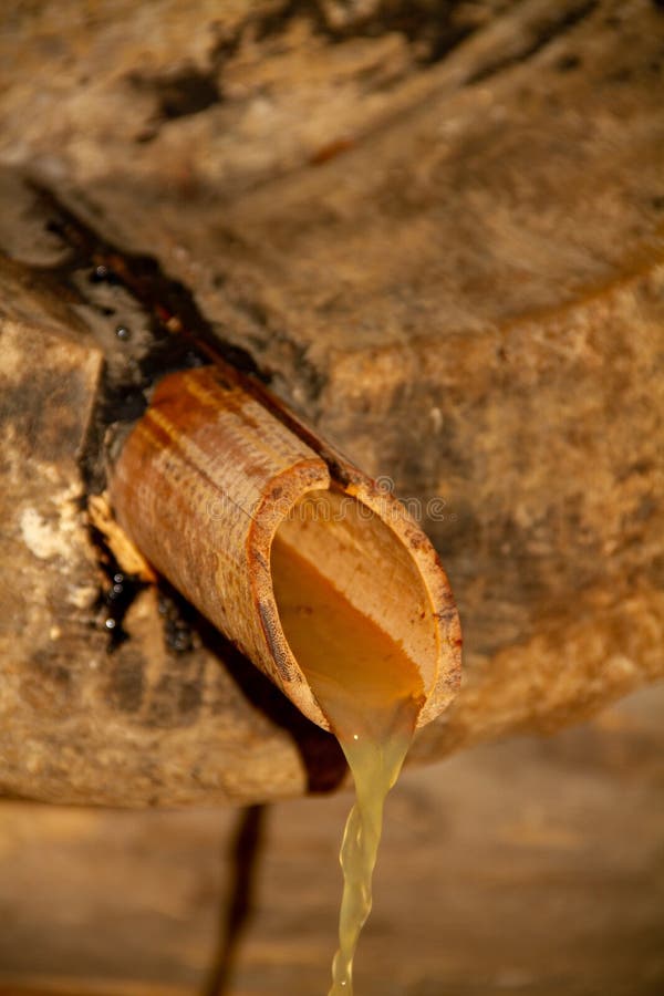 Juice Flowing from Ripe Orange into a Glass. Creative Concept of Fresh