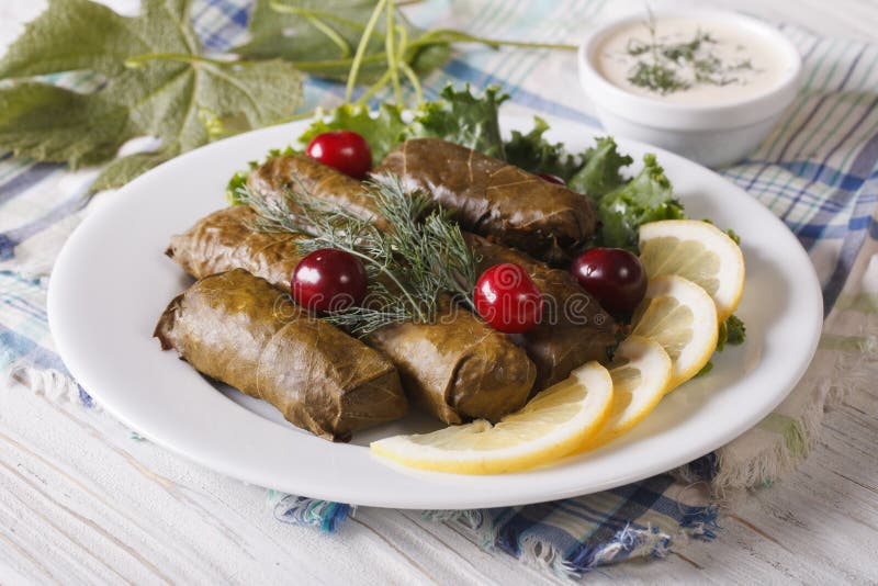Grape Leaves Stuffed with Meat and Rice on a Plate. Horizontal Stock