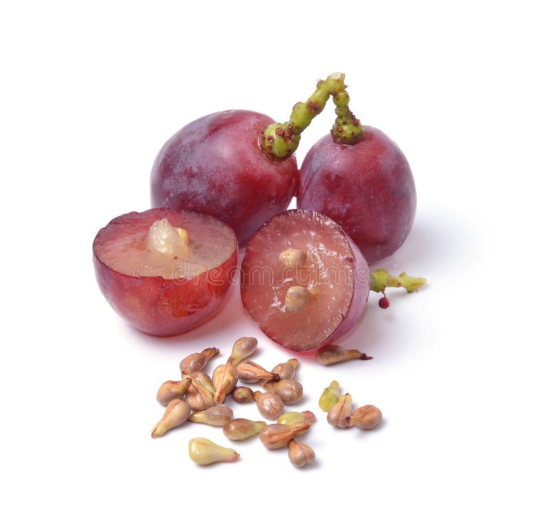5 417 Grape Seeds Stock Photos Free Royalty Free Stock Photos