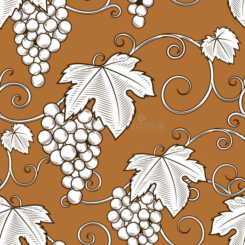 Grape Vine Branches Ornament Vector Stock Vector Illustration of
