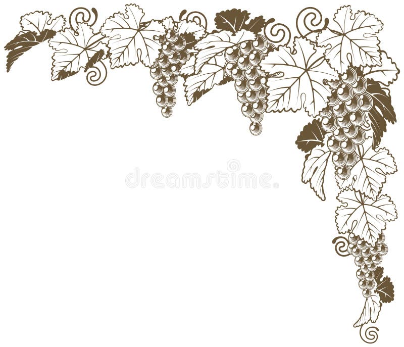 Green Vine Border Clip Art at  - vector clip art online, royalty  free & public domain